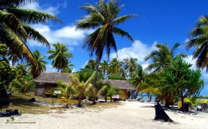 louer un bungalow sur la plage