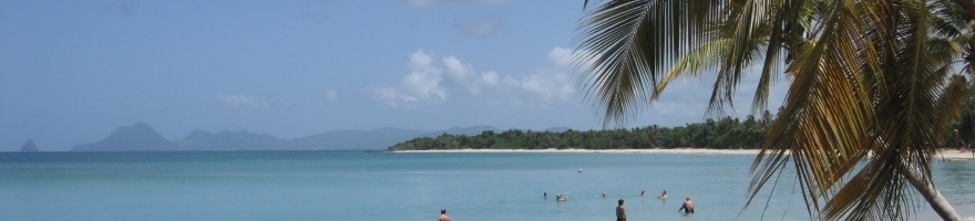 location saisonnière en martinique