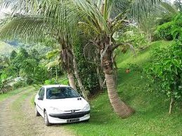 location voiture sainte-anne location martinique voiture pas cher